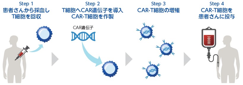 ノイルイミューン・バイオテック（4893）IPO CAR-T細胞療法のしくみ